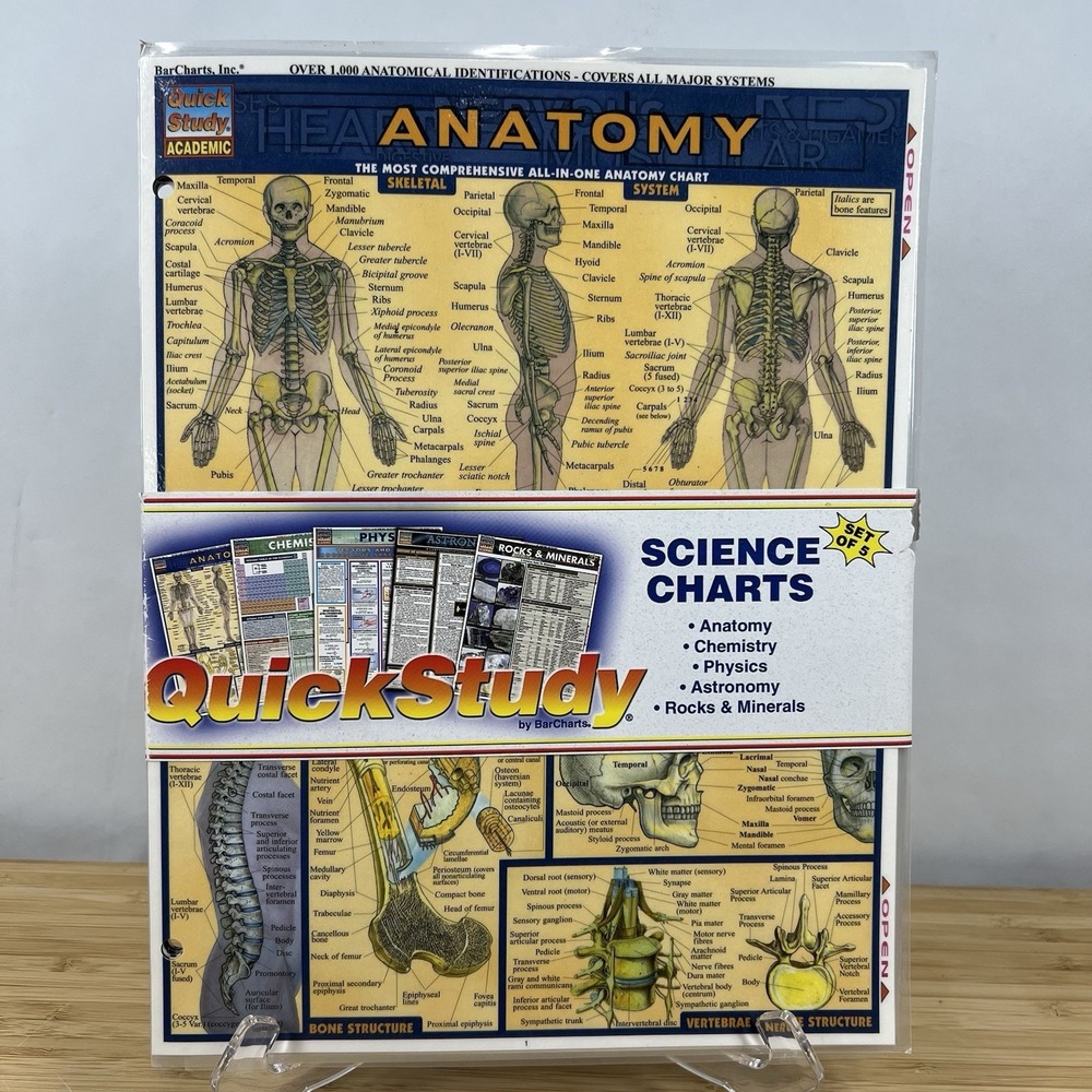 BarCharts QuickStudy Science Charts Set of 5 Anatomy Chemistry Physics Astronomy